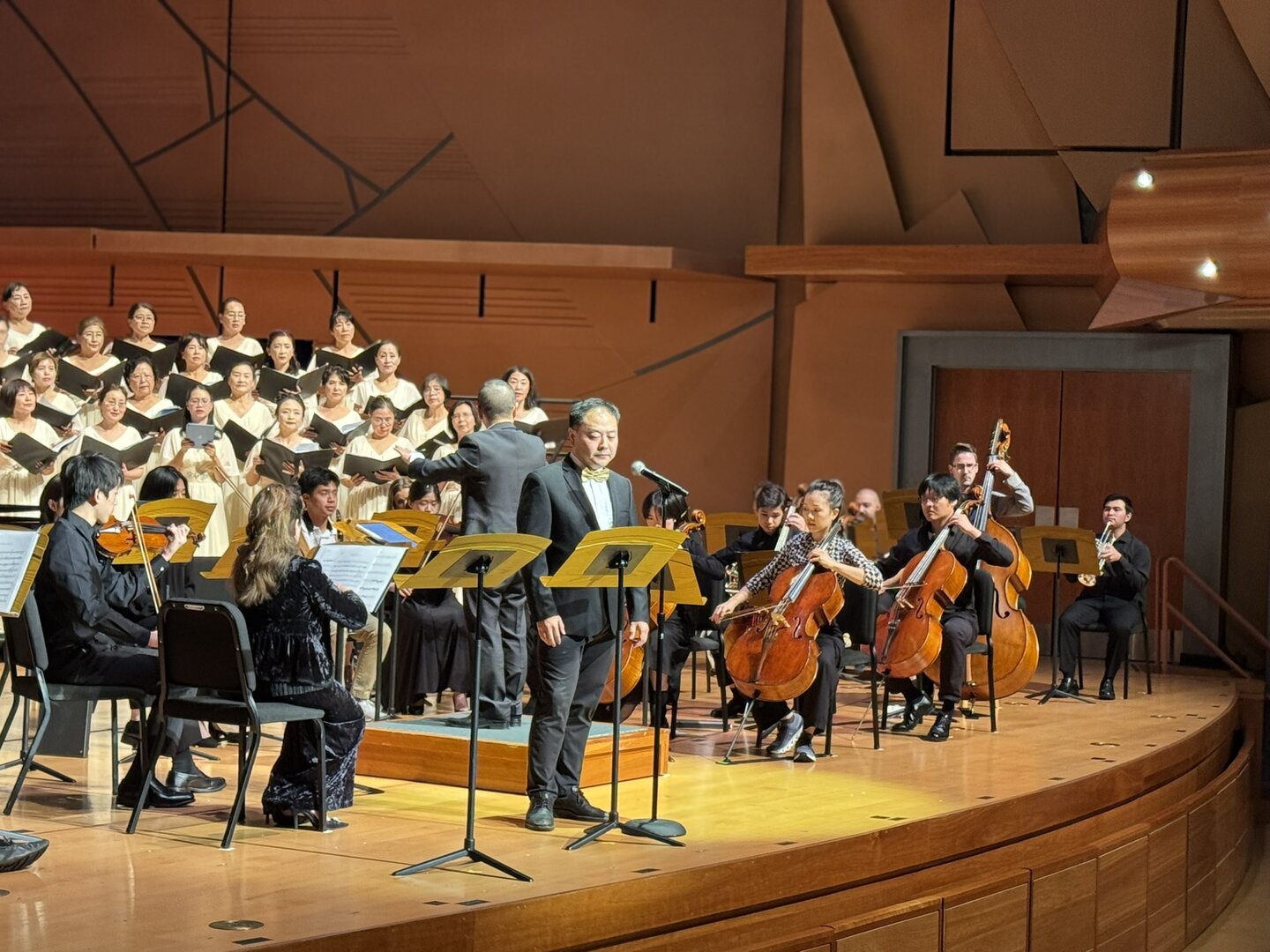 Orchestra concert